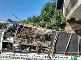 Best Construction Debris Removal  in Moorefield, WV